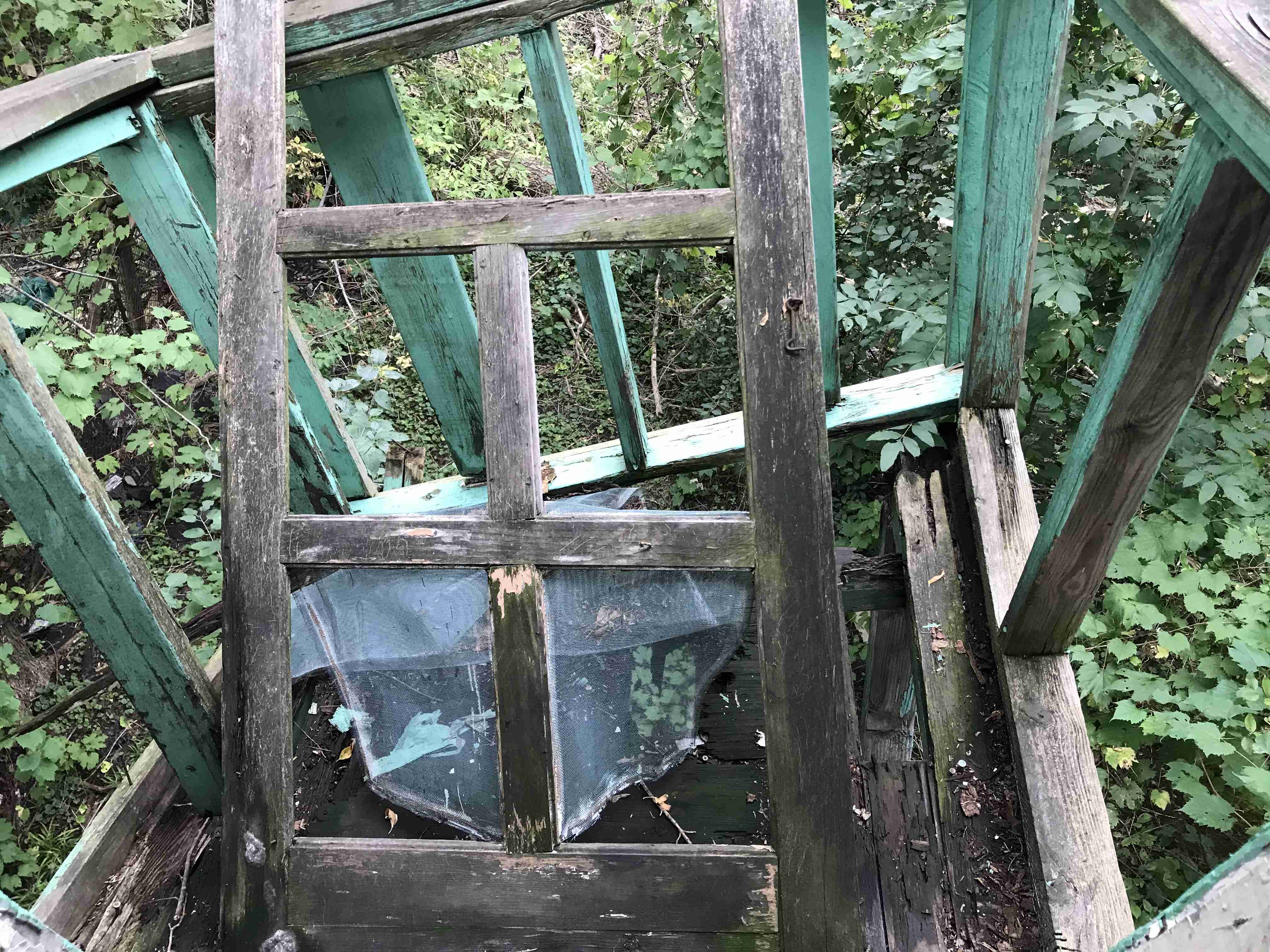 Photo Sep 10, 3 22 14 PM.jpg